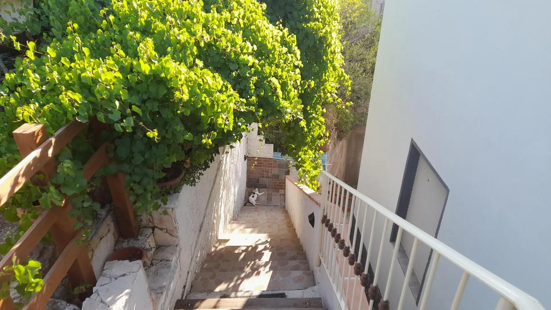 B&B Bella Vista Dorgali